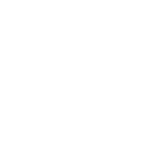 MN Car Center